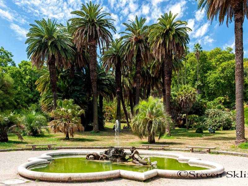 Orto Botanico di Roma&nbsp;Italy