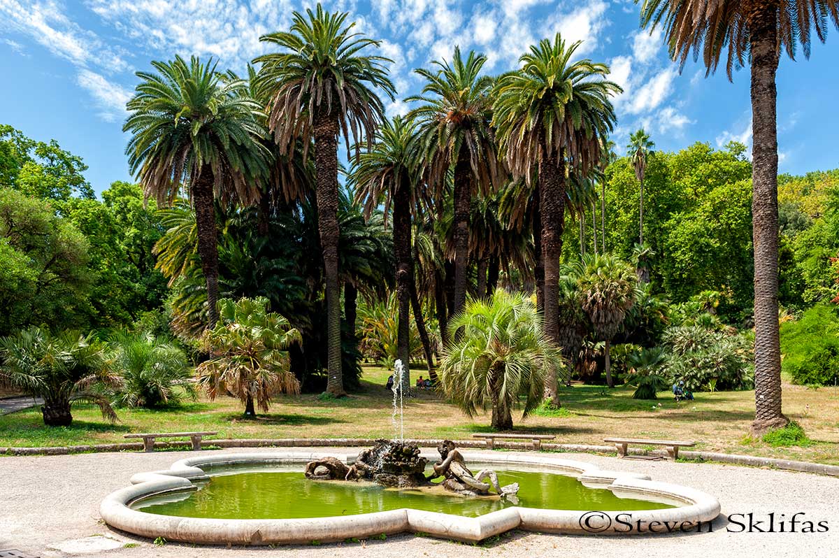 Orto Botanico di Roma&nbsp;Italy