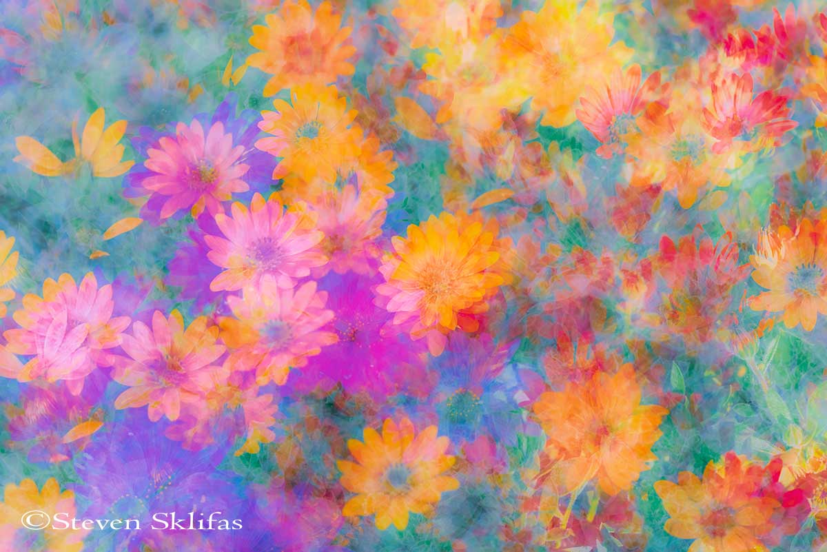 Monet and I, inspired by the masterpiece of&nbsp;nature.